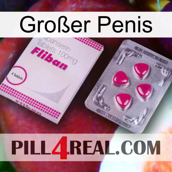 Großer Penis 32.jpg